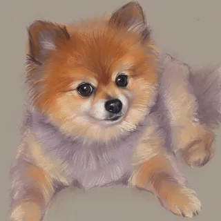 Example of the Soft Pastel style